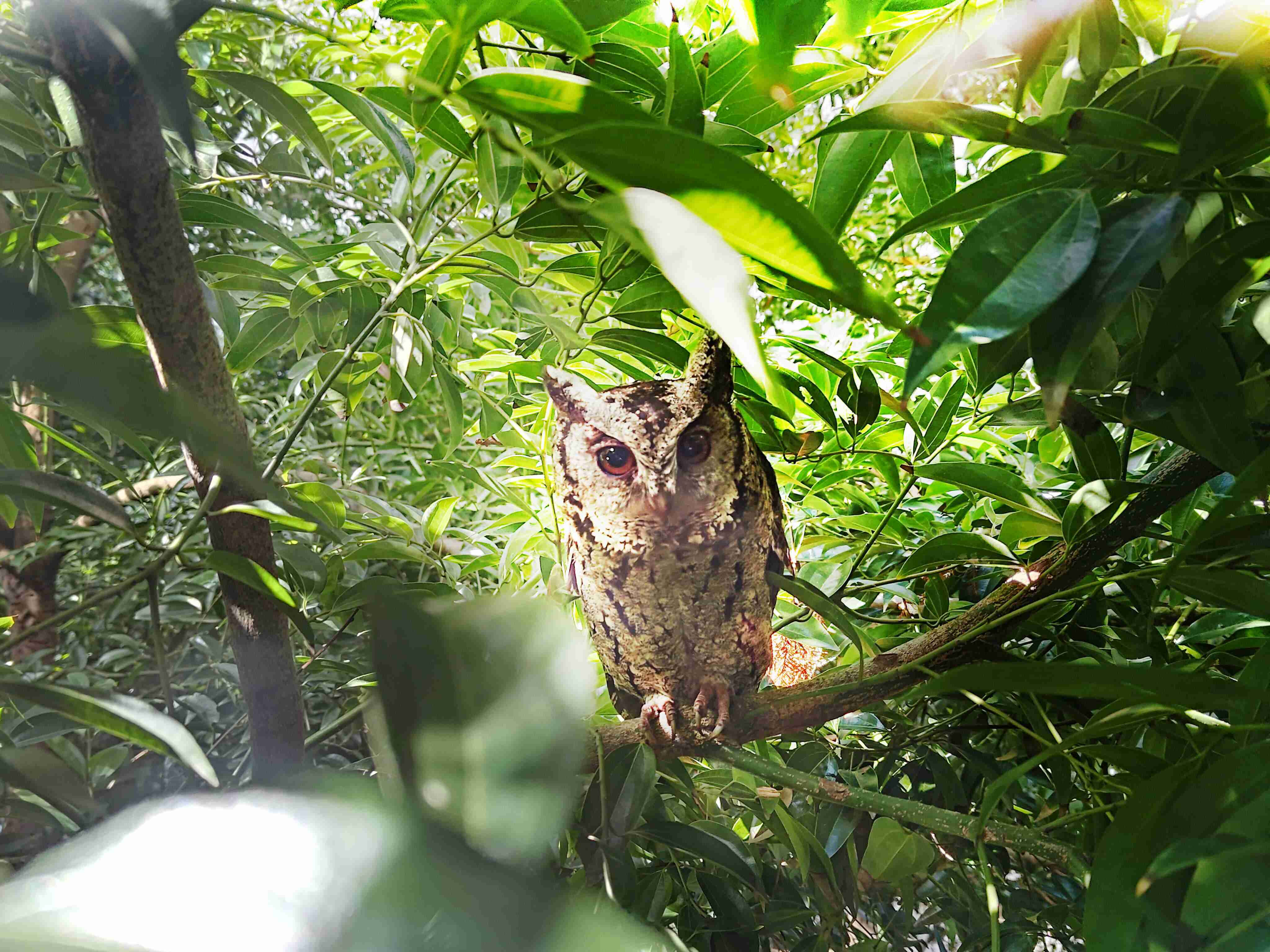 918.COM致力提倡净零绿生活，，16年以来在全球各厂区植树逾百万棵，，，造就各厂区树木蔚然成林，，犹如森林工厂，，成为许多生物的栖息地